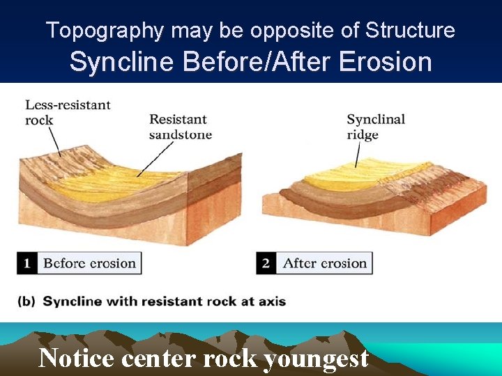 Topography may be opposite of Structure Syncline Before/After Erosion Notice center rock youngest 