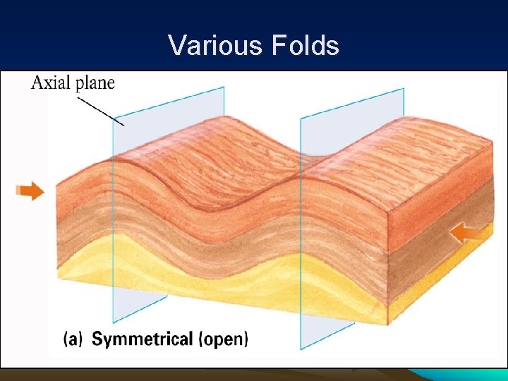 Various Folds 