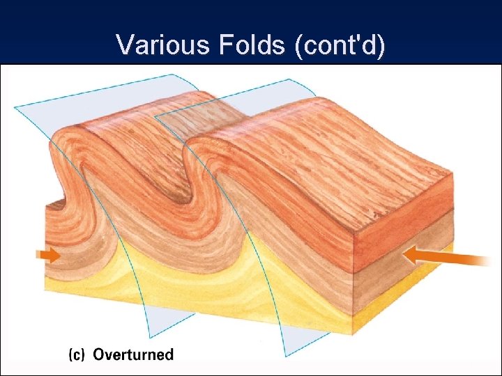 Various Folds (cont'd) 