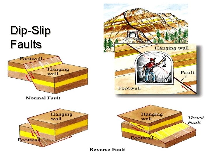 Dip-Slip Faults 