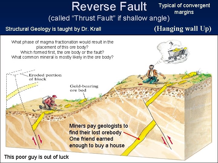 Reverse Fault Typical of convergent margins (called “Thrust Fault” if shallow angle) Structural Geology