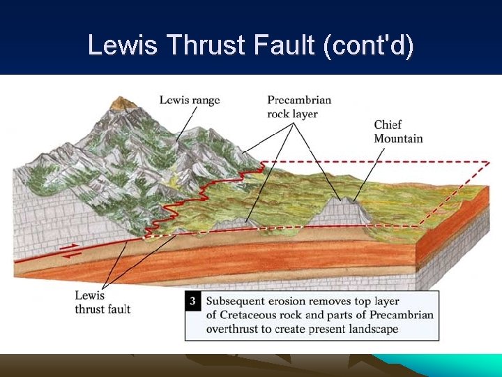 Lewis Thrust Fault (cont'd) 