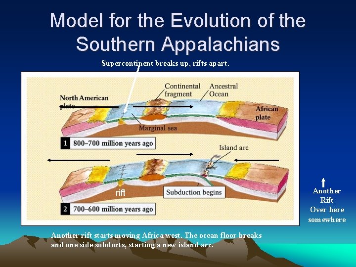 Model for the Evolution of the Southern Appalachians Supercontinent breaks up, rifts apart. rift