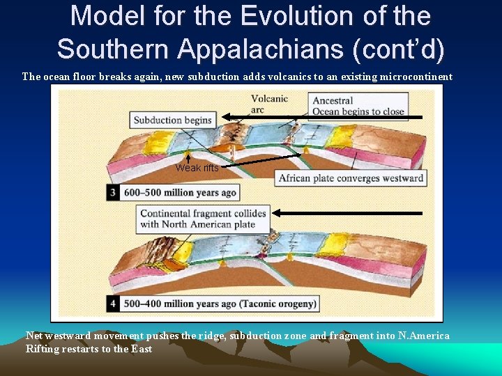 Model for the Evolution of the Southern Appalachians (cont’d) The ocean floor breaks again,