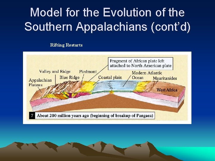 Model for the Evolution of the Southern Appalachians (cont’d) Rifting Restarts 