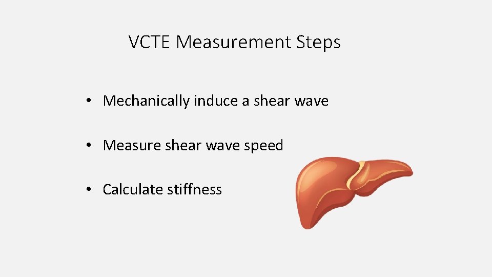 VCTE Measurement Steps • Mechanically induce a shear wave • Measure shear wave speed