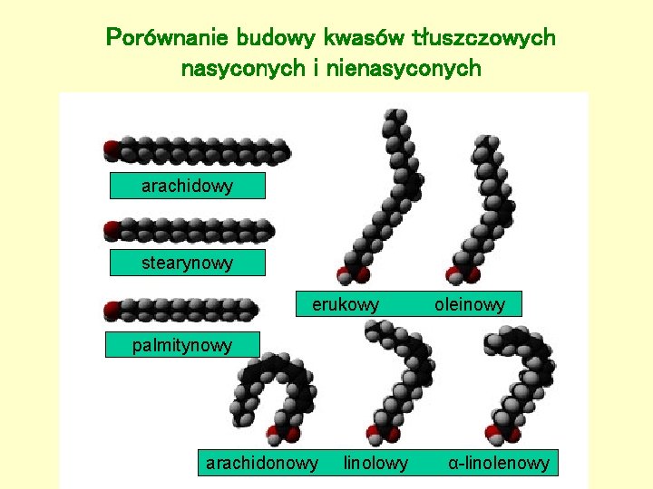 Porównanie budowy kwasów tłuszczowych nasyconych i nienasyconych arachidowy stearynowy erukowy oleinowy palmitynowy arachidonowy linolowy Porównanie budowy kwasów tłuszczowych nasyconych i nienasyconych arachidowy stearynowy erukowy oleinowy palmitynowy arachidonowy linolowy