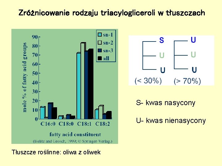Zróżnicowanie rodzaju triacylogliceroli w tłuszczach S- kwas nasycony U- kwas nienasycony Tłuszcze roślinne: oliwa Zróżnicowanie rodzaju triacylogliceroli w tłuszczach S- kwas nasycony U- kwas nienasycony Tłuszcze roślinne: oliwa