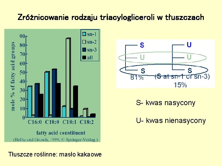 Zróżnicowanie rodzaju triacylogliceroli w tłuszczach S- kwas nasycony U- kwas nienasycony Tłuszcze roślinne: masło Zróżnicowanie rodzaju triacylogliceroli w tłuszczach S- kwas nasycony U- kwas nienasycony Tłuszcze roślinne: masło