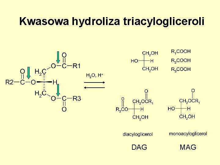 Kwasowa hydroliza triacylogliceroli DAG MAG Kwasowa hydroliza triacylogliceroli DAG MAG