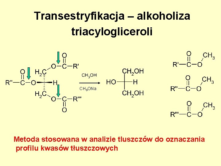 Transestryfikacja – alkoholiza triacylogliceroli CH 3 ONa Metoda stosowana w analizie tluszczów do oznaczania Transestryfikacja – alkoholiza triacylogliceroli CH 3 ONa Metoda stosowana w analizie tluszczów do oznaczania