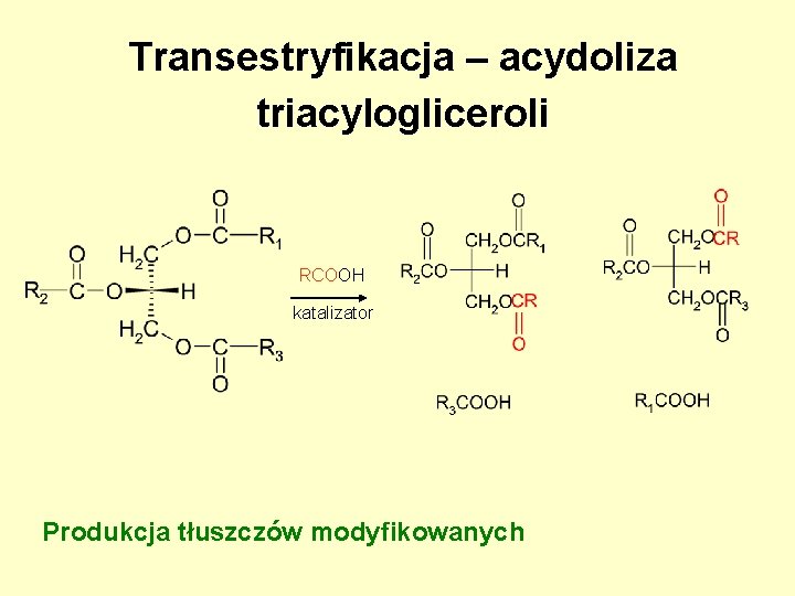 Transestryfikacja – acydoliza triacylogliceroli RCOOH katalizator Produkcja tłuszczów modyfikowanych Transestryfikacja – acydoliza triacylogliceroli RCOOH katalizator Produkcja tłuszczów modyfikowanych