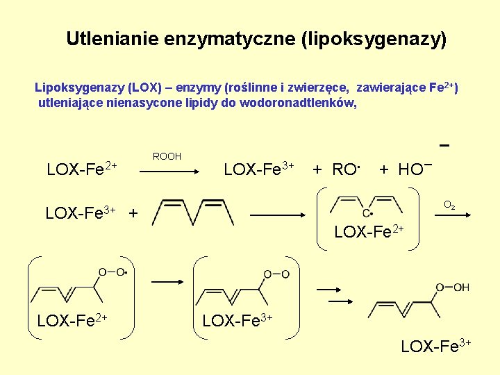 Utlenianie enzymatyczne (lipoksygenazy) Lipoksygenazy (LOX) – enzymy (roślinne i zwierzęce, zawierające Fe 2+) utleniające Utlenianie enzymatyczne (lipoksygenazy) Lipoksygenazy (LOX) – enzymy (roślinne i zwierzęce, zawierające Fe 2+) utleniające