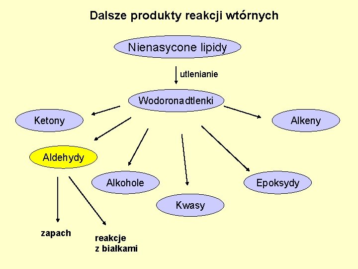 Dalsze produkty reakcji wtórnych Nienasycone lipidy utlenianie Wodoronadtlenki Ketony Alkeny Aldehydy Alkohole Epoksydy Kwasy Dalsze produkty reakcji wtórnych Nienasycone lipidy utlenianie Wodoronadtlenki Ketony Alkeny Aldehydy Alkohole Epoksydy Kwasy
