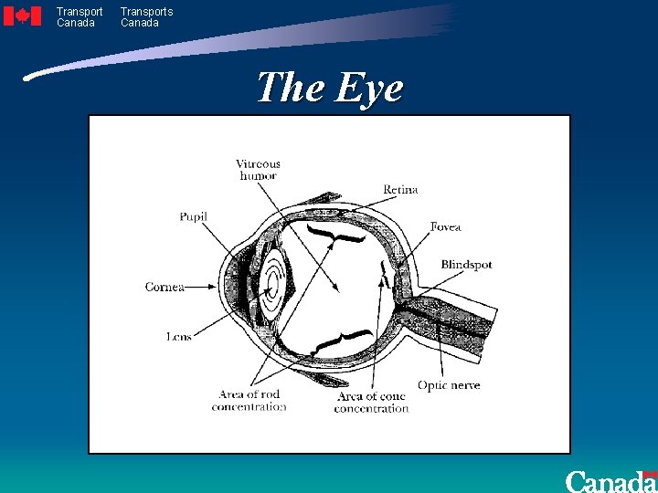 Transport Canada Transports Canada The Eye 