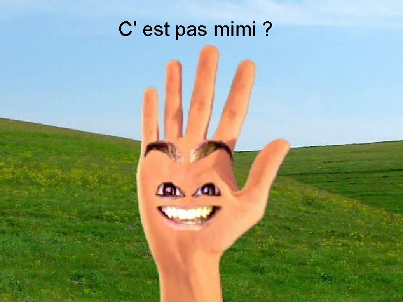 C' est pas mimi ? 