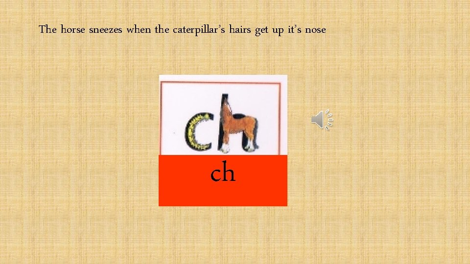 The horse sneezes when the caterpillar’s hairs get up it’s nose ch 