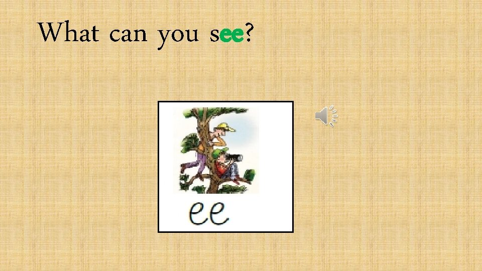 What can you see? 