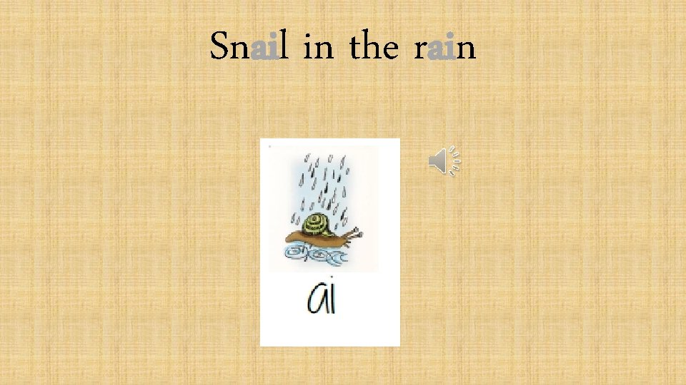 Snail in the rain 