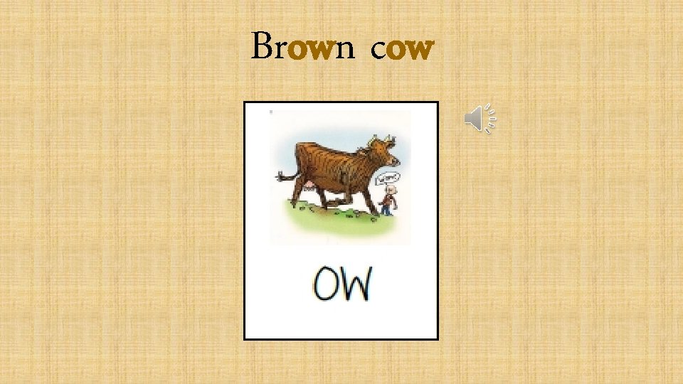 Brown cow 