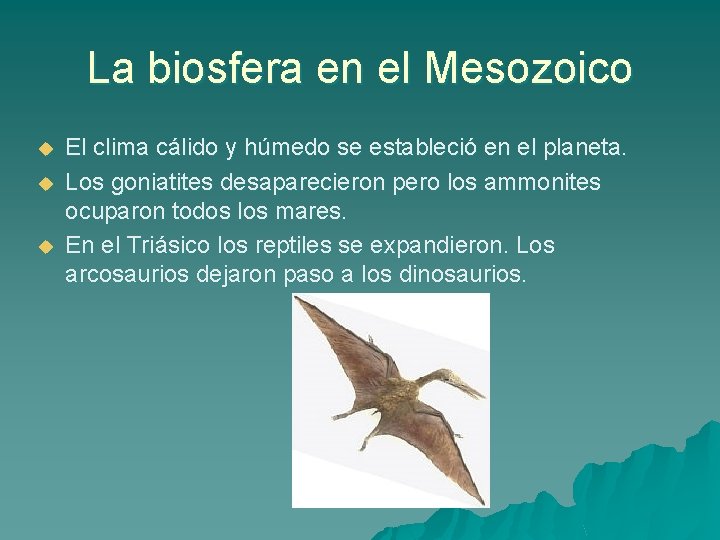 La biosfera en el Mesozoico u u u El clima cálido y húmedo se