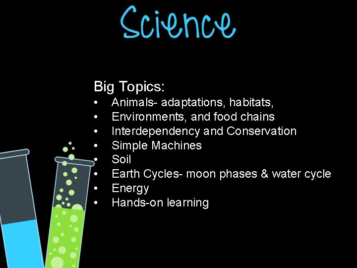 Big Topics: • • Animals- adaptations, habitats, Environments, and food chains Interdependency and Conservation