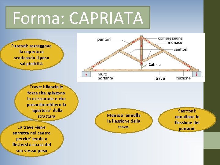 Forma: CAPRIATA Puntoni: sorreggono la copertura scaricando il peso sui piedritti. Catena trave Trave: