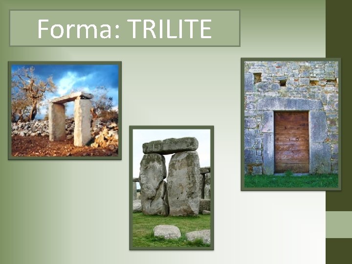 Forma: TRILITE 