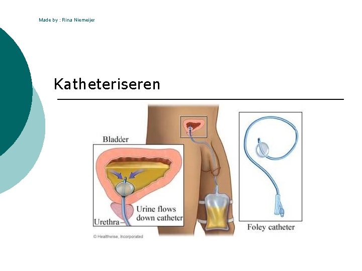 Made by Rina Niemeijer Katheteriseren Anatomie van de