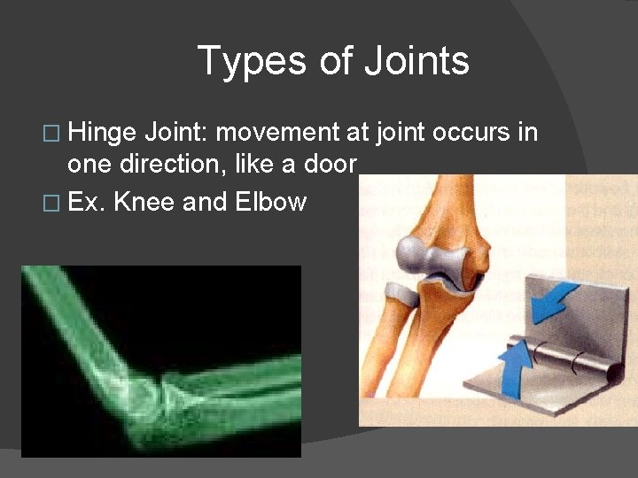 Types of Joints � Hinge Joint: movement at joint occurs in one direction, like