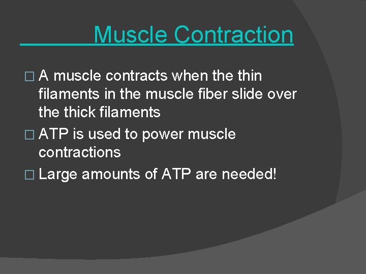 Muscle Contraction �A muscle contracts when the thin filaments in the muscle fiber slide