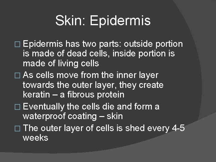 Skin: Epidermis � Epidermis has two parts: outside portion is made of dead cells,