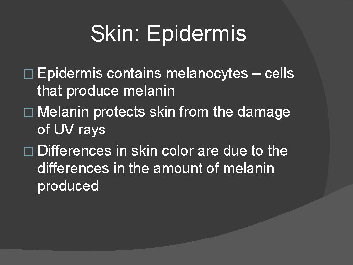 Skin: Epidermis � Epidermis contains melanocytes – cells that produce melanin � Melanin protects