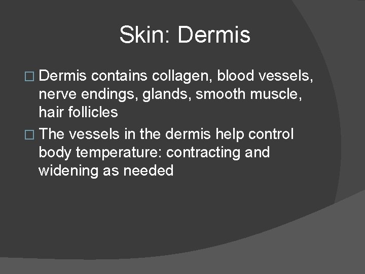 Skin: Dermis � Dermis contains collagen, blood vessels, nerve endings, glands, smooth muscle, hair