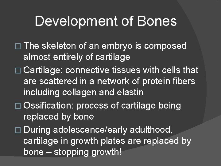 Development of Bones � The skeleton of an embryo is composed almost entirely of