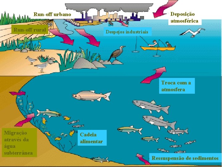 Deposição atmosférica Run-off urbano Run-off rural Despejos industriais Troca com a atmosfera Migração através
