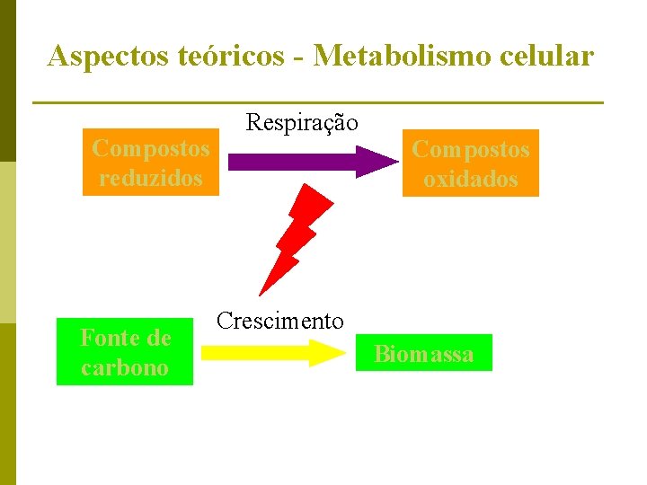 Aspectos teóricos - Metabolismo celular Compostos reduzidos Fonte de carbono Respiração Compostos oxidados Crescimento