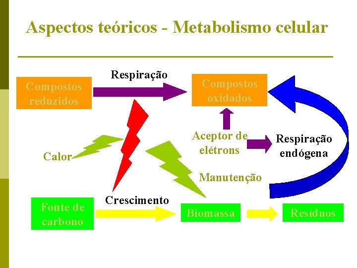 Aspectos teóricos - Metabolismo celular Compostos reduzidos Respiração Compostos oxidados Aceptor de elétrons Calor