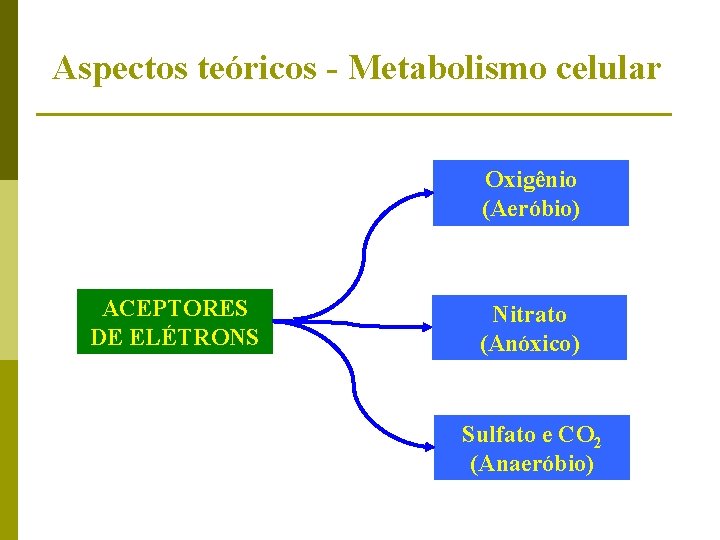 Aspectos teóricos - Metabolismo celular Oxigênio (Aeróbio) ACEPTORES DE ELÉTRONS Nitrato (Anóxico) Sulfato e