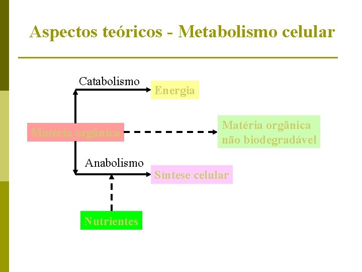 Aspectos teóricos - Metabolismo celular Catabolismo Matéria orgânica Anabolismo Nutrientes Energia Matéria orgânica não