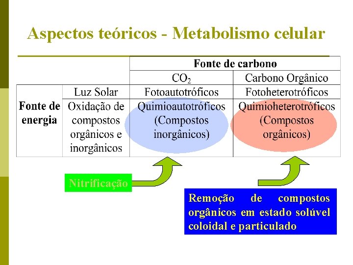 Aspectos teóricos - Metabolismo celular Nitrificação Remoção de compostos orgânicos em estado solúvel coloidal