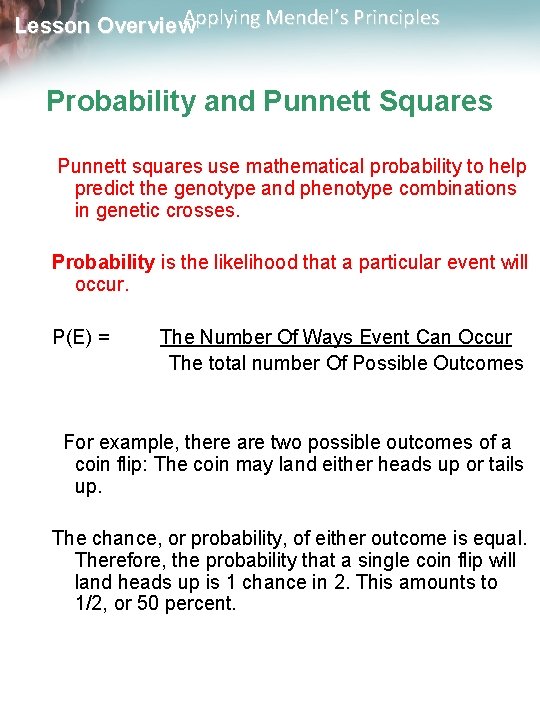 Applying Mendel’s Principles Lesson Overview Probability and Punnett Squares Punnett squares use mathematical probability