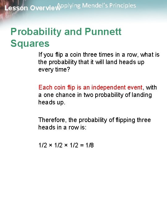 Applying Mendel’s Principles Lesson Overview Probability and Punnett Squares If you flip a coin