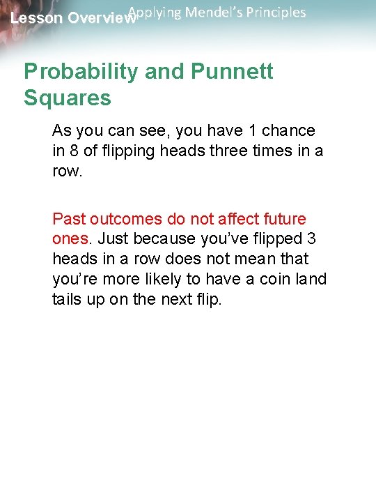 Applying Mendel’s Principles Lesson Overview Probability and Punnett Squares As you can see, you
