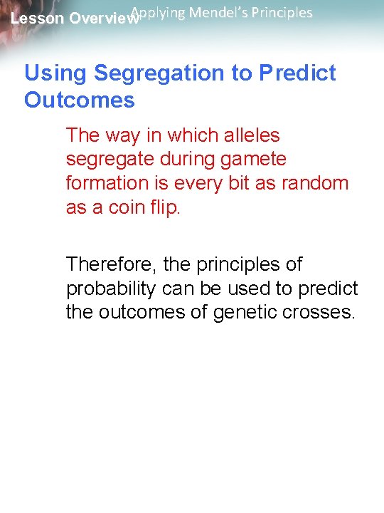 Applying Mendel’s Principles Lesson Overview Using Segregation to Predict Outcomes The way in which