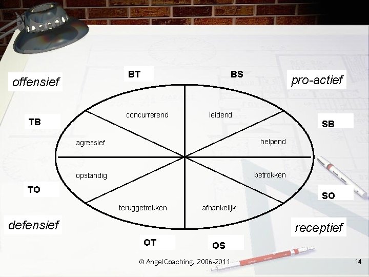 BT offensief BS concurrerend TB pro-actief leidend SB agressief helpend opstandig betrokken TO SO