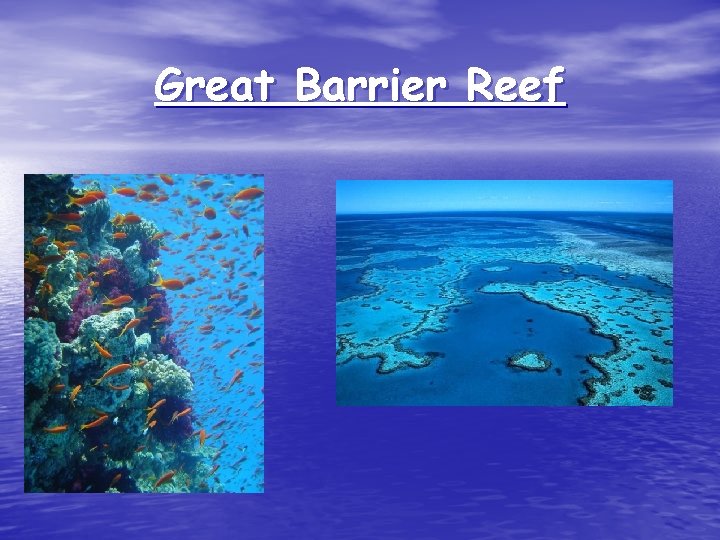 Great Barrier Reef 