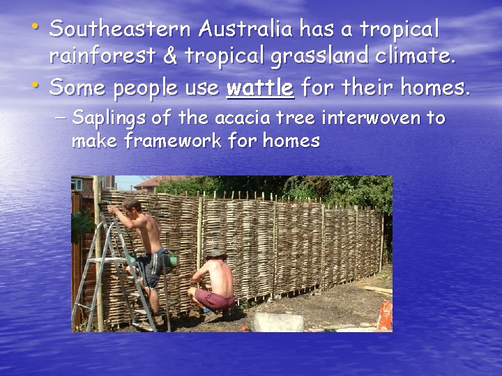  • Southeastern Australia has a tropical • rainforest & tropical grassland climate. Some