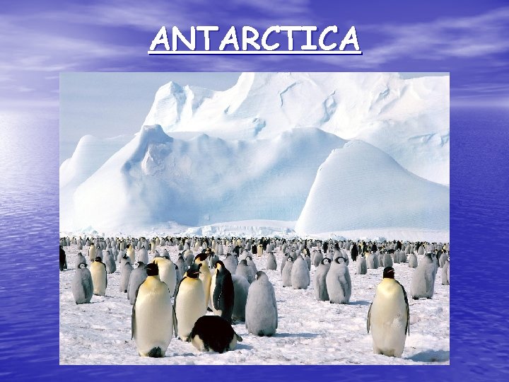 ANTARCTICA 