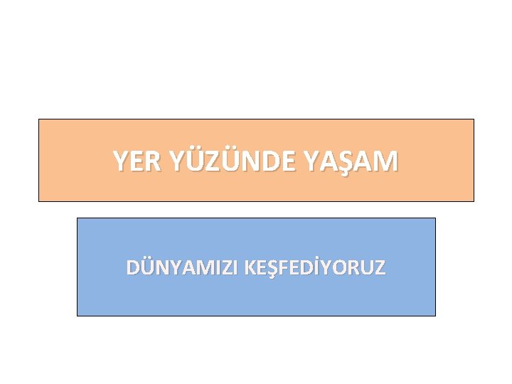 YER YÜZÜNDE YAŞAM DÜNYAMIZI KEŞFEDİYORUZ 